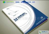 專業平面設計服務覆蓋廣州荔灣、白云、增城、南沙，助力企業畫冊設計